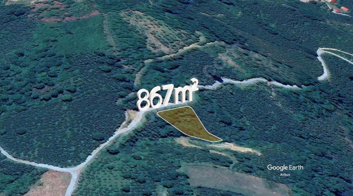 ORDU\ALTINORDU IŞIKLI MAHALLESİ SATILIK BAHÇE